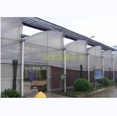 鋸齒型溫室